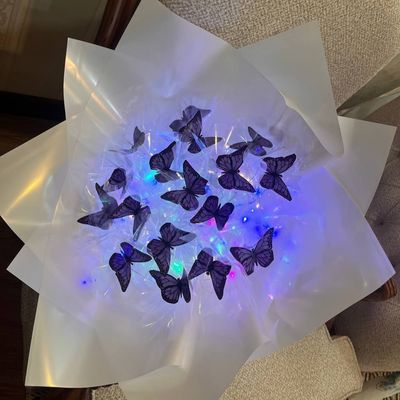 بوکت پروانه ال ای دی دار