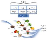 عطر جیبی یاغیش مدل CK13 حجم 24 میلی لیتر مجموعه 4 عددی