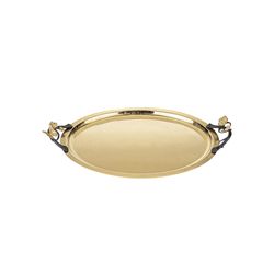سینی گلدکیش مدل دلاریس کد GK834020