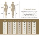 شومیز آستین بلند زنانه مدل SN-BD-1265847705