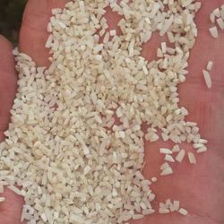 برنج نیم دانه طارم هاشمی 5 کیلویی