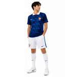 ست تی‌شرت و شلوارک ورزشی مردانه مدل GS-M-World Cup-317973