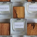 Hesperides celestique