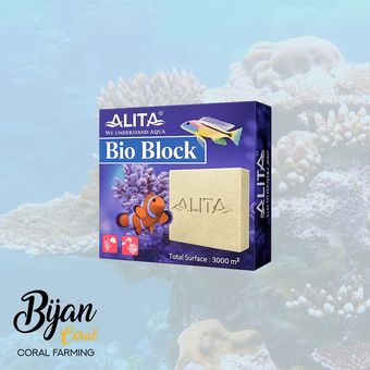 بلوک فوق متخلخل آلیتا