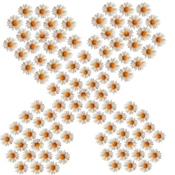 شمع شناور مدل بابونه مجموعه 100 عددی کد 1002