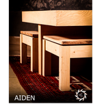AIDEN(آیدن)