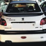 برچسب بدنه خودرو لیزارد مدل فانتزی طرح در لحظه زندگی کن کد LZD-729