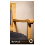 ARAMIS(آرامیس)