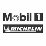 برچسب بدنه خودرو ونگارد طرح MICHE کد M2