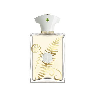 عطر ادکلن آمواج براکن مردانه | Amouage Bracken Man