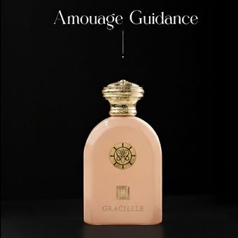 عطر ادکلن آمواج گایدنس 100میل جانوین Amouage Guidance johnwin