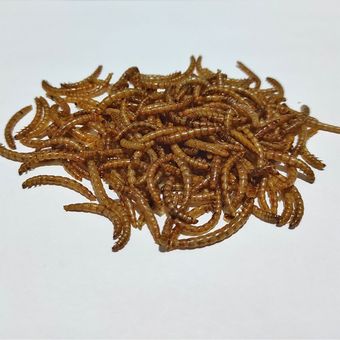 غذای خشک پرندگان مدل میلورم کد 01 وزن 100 گرم