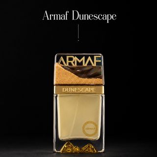 عطر ادکلن دون اسکیپ آرماف 100 میل اورجینال Armaf Dunescape