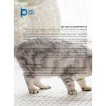 غذای خشک هالستیک گربه بایو پت مدل Adult Cat وزن 3.5 کیلوگرم
