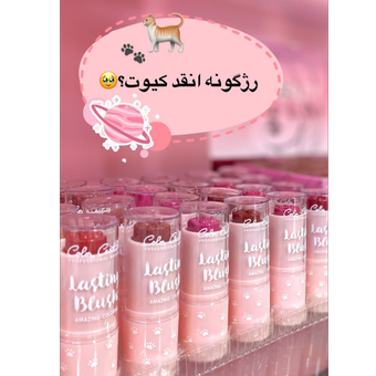 رژگونه پنجه گربه🥹🍓