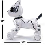 ربات کنترلی مدل DOG K14