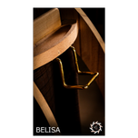 BELISA(بلیسا)