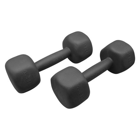 دمبل مدل GS-M-143031 وزن 2 کیلوگرم بسته دو عددی