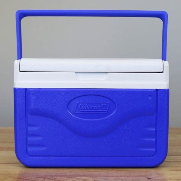 یخچال سفری کلمن مدل Fliplid کد 2021