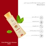 شامپو مو پروتئینه جوانه گندم سینره مدل Wheat Germ حجم 250 میلی‌لیتر