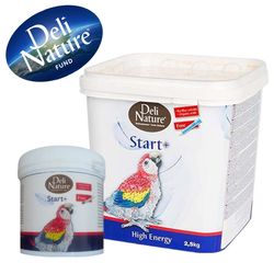 سرلاک دلی نیچر بلژیک پلمپ شرکتی