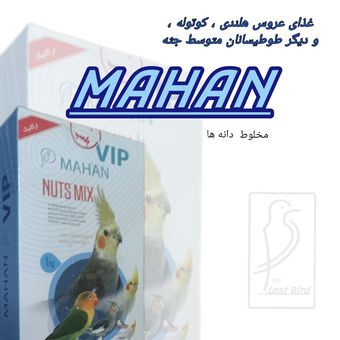 غذای طوطیسانان متوسط جثه ماهان مخلوط دانه ها