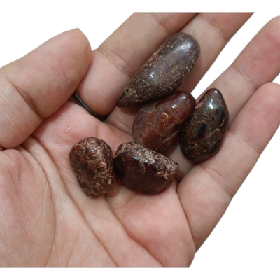 تامبل گارنت