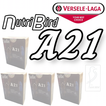 فروش عمده A21 نوتری برد