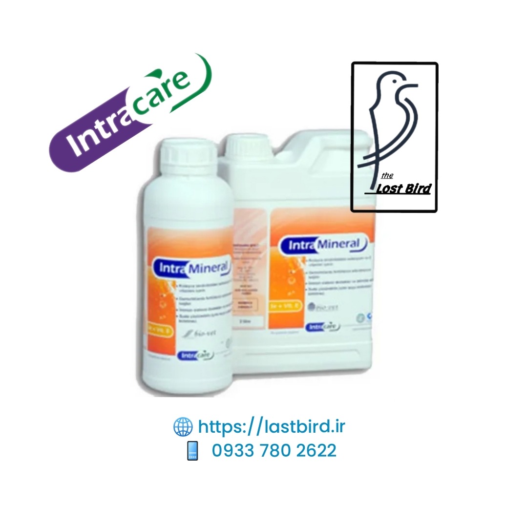 مینرال Mineral اینترا هلند