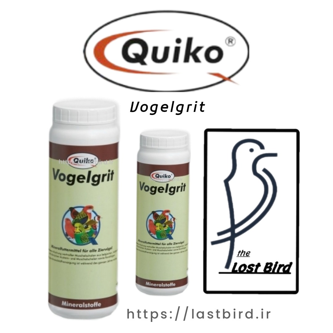 Vogelgrit کویکو آلمان