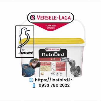 آ19 غذای کمکی A19 ورسلاگا بلژیک