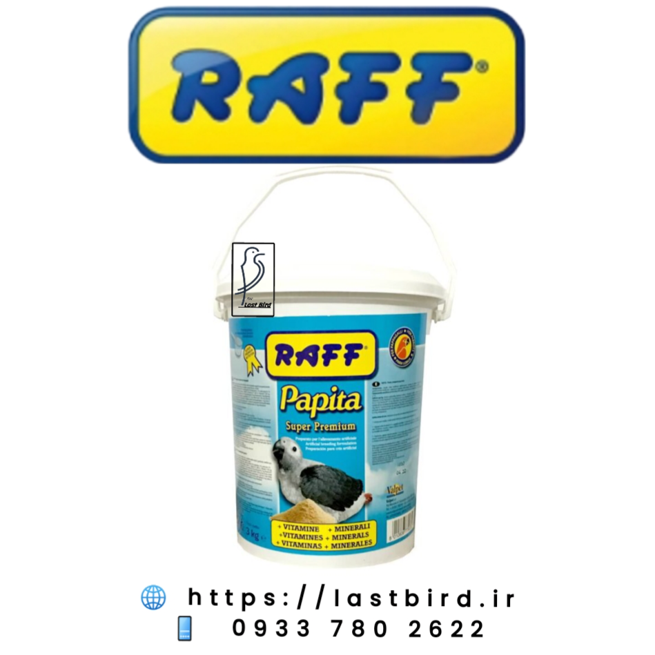 Papita غذا کمکی طوطیسانان راف ایتالیا