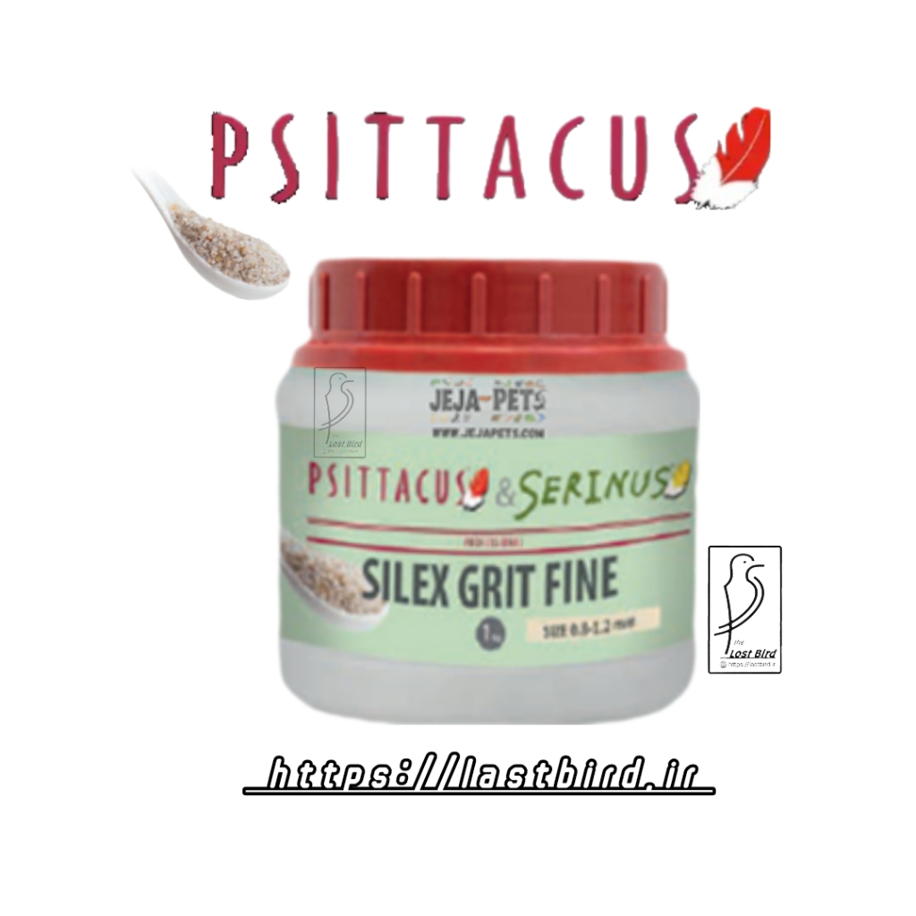 silex grit fine سیتاکوس اسپانیا