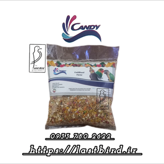 غذا روزانه طوطیسانان کندی مخلوط دانه ها