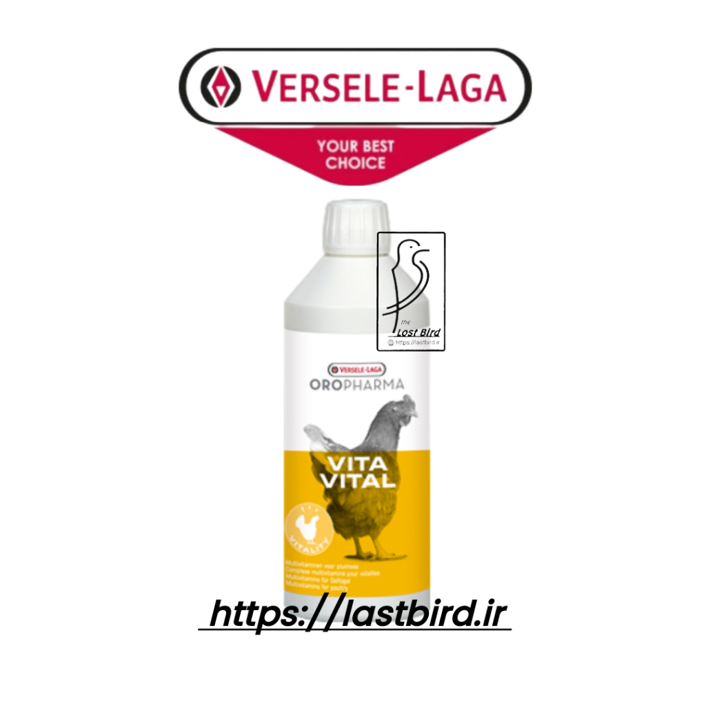مولتی ویتامین VITA VITAL ورسلاگا بلژیک