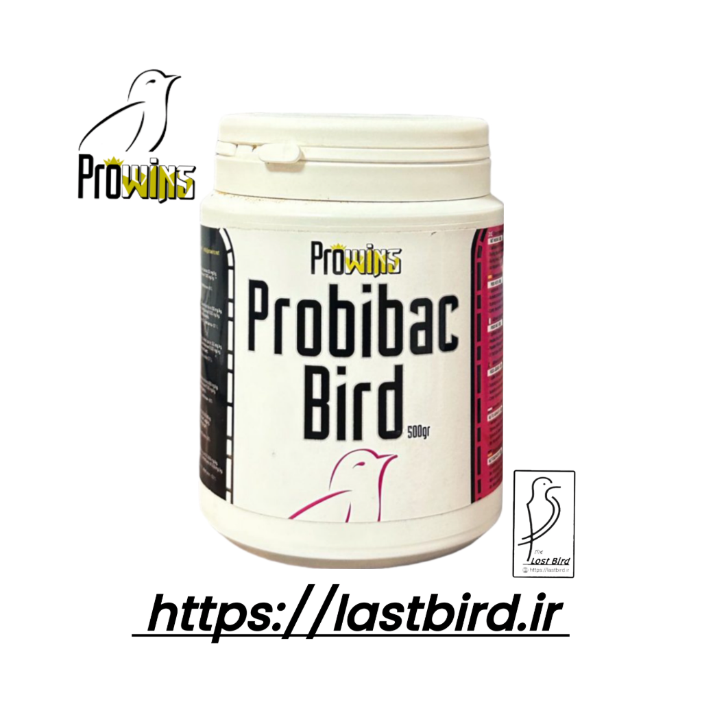 Probibac-bird پروبیوتیک پرندگان Prowins