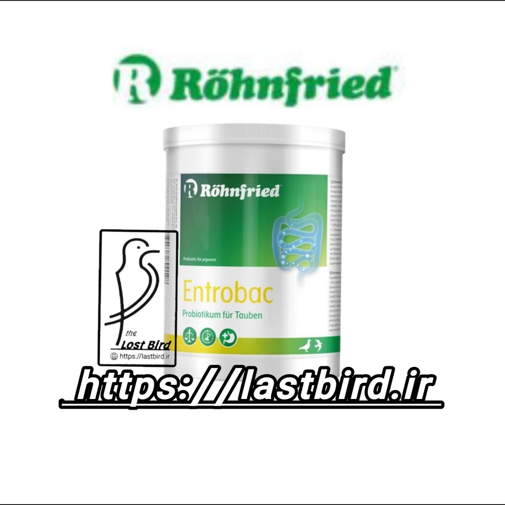 پروبیوتیک Enterobac رانفرید آلمان