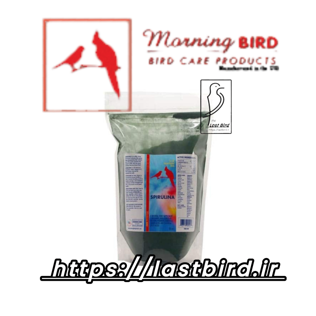 جلبک اسپرولینا Spirulina مورنینگ برد آمریکا