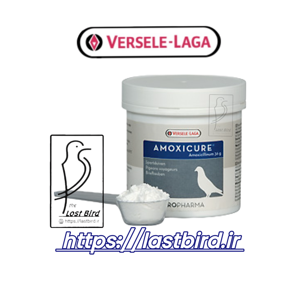پودر آموکسی کیور AMOXICURE ورسلاگا بلژیک آنتی بیوتیک پرندگان