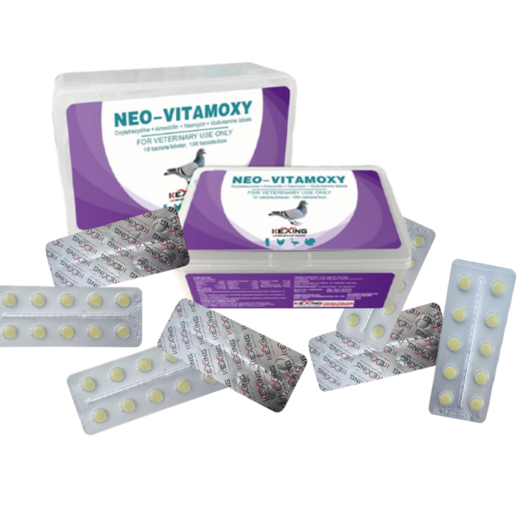 قرص آنتی‌بیوتیک NEO-VITAMOXY ککسینگ