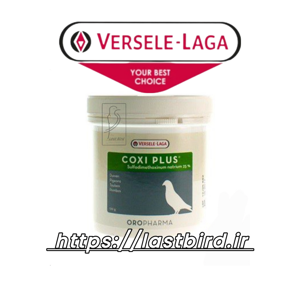 Coxi plus کوکسی پلاس ورسلاگا بلژیک