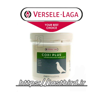 Coxi plus کوکسی پلاس ورسلاگا بلژیک