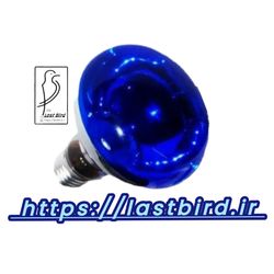 لامپ 200 وات حرارتی مادر مصنوعی