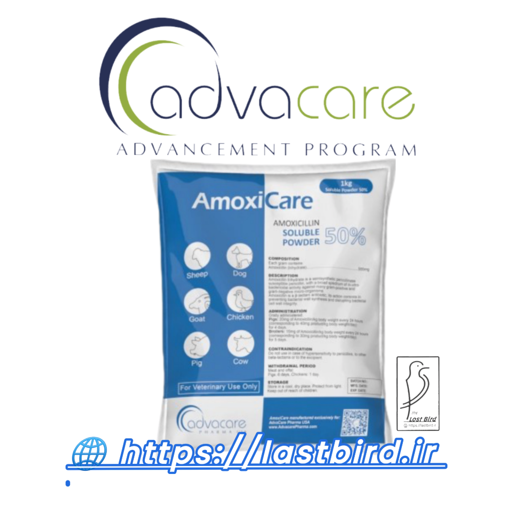 AmoxiCare پودر آنتی بیوتیک پرندگان ادواکر آمریکا ( آموکسی سیلین 50 درصد)