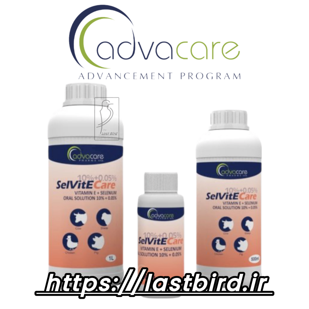 SelVitECare ویتامین ای + سلنیوم ادواکر آمریکا