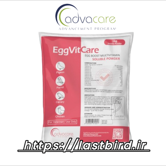 EggVitaCare ویتامین افزایش تخم ادواکر آمریکا