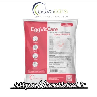 EggVitaCare ویتامین افزایش تخم ادواکر آمریکا