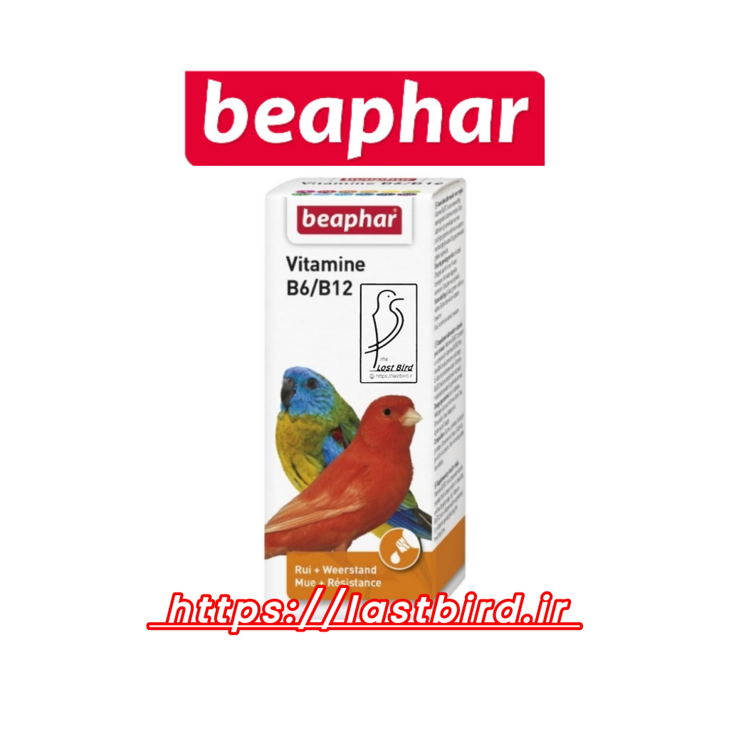 Vitamin B6 & B12 ویتامین ب6 و ب12 بیفار هلند