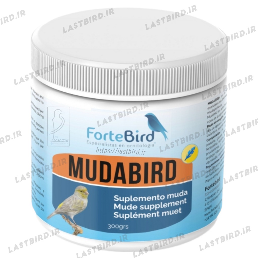 مودابرد مکمل دوران پرریزی MUDABIRD فورت برد اسپانیا