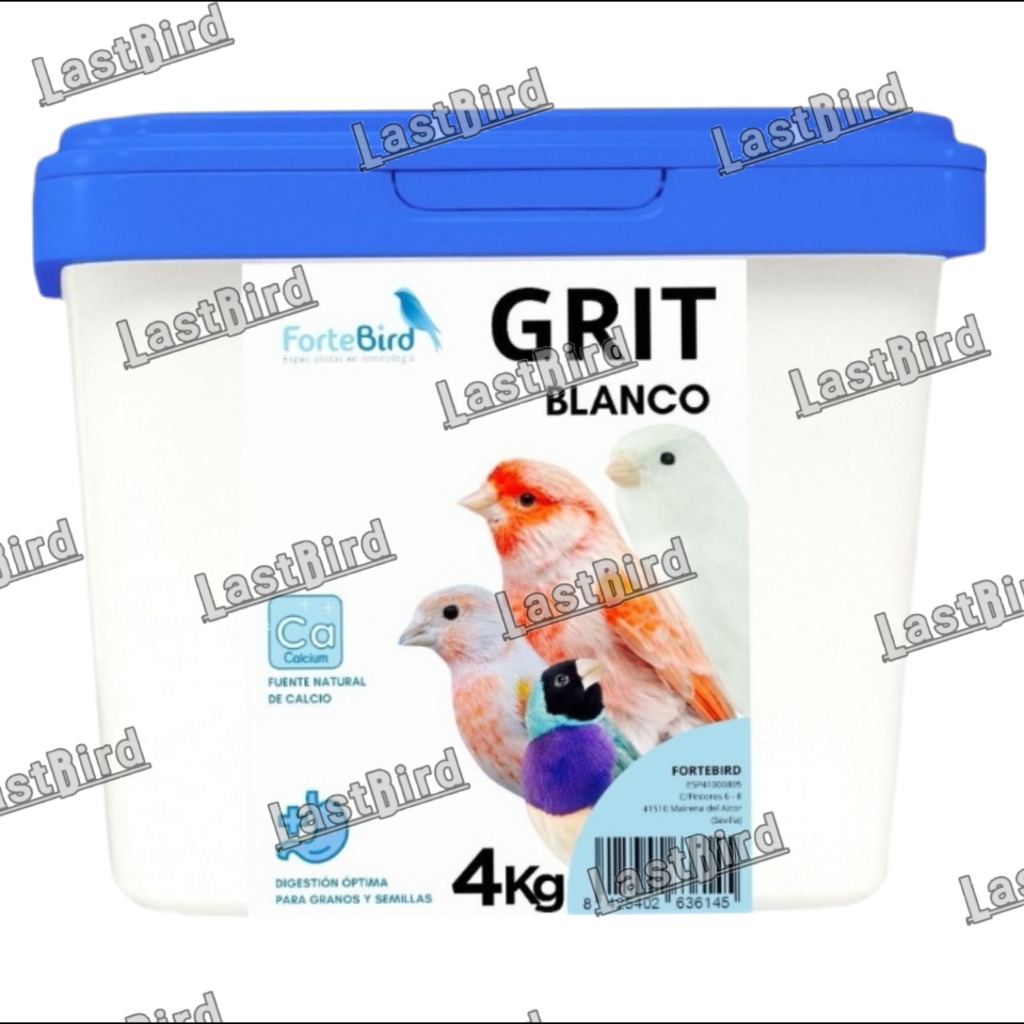 کلسیم گریت Grit Blanco فورت برد اسپانیا